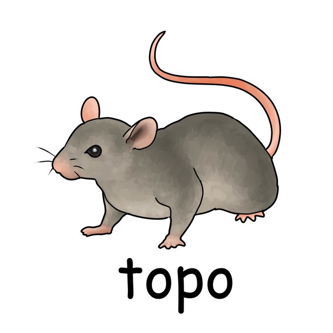トーポのtwitterイラスト検索結果