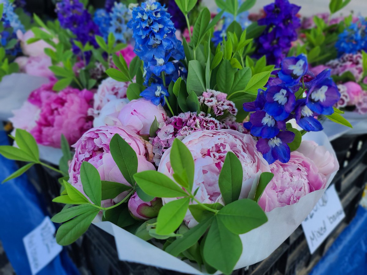 srkix18's tweet photo. Good morning! Selling at the West side madison farmers market! https://t.co/Znt1ntqenM