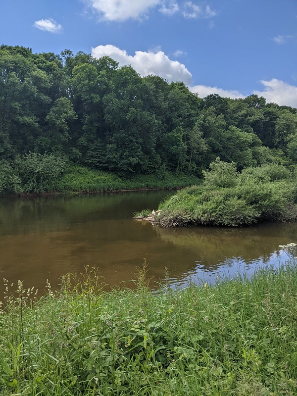 SevernUnlocked's tweet photo. See how Alice, from @severnrivers,  got on in the Leg 9 of our #SevernSeaToSource walk 👀

From Bevere Lock Cottage to Stourport Treasure island: views of red cliffs, ancient trees, barges,  bustling boatyards &amp; walkers.  Read the post HERE 👇

https://t.co/ipjKJZAE5N  #SevernWay https://t.co/8Qa38f31v2