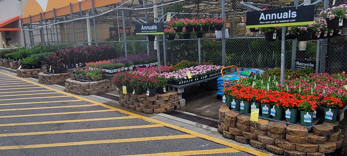 WBenabeCF's tweet photo. HD248 loos great and ready for the weekend. @sgaskinshd @bjryan3 @Christi23491423 https://t.co/HplrKF6HP9