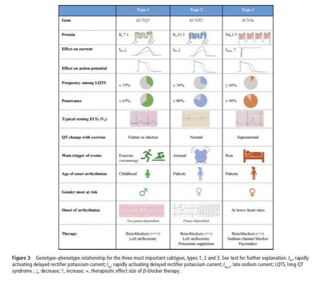cardiopedhnn's tweet image. Dx, manejo y Rx del síndrome de #QTlargo congénito. Libre acceso. 

Dx, management &amp;amp; Tx of congenital  #longQT syndrome. Open access. 

dx.doi.org/10.1136/heartj…

#cardiopedia #pedscard #disritmia #arritmia #arrhythmia