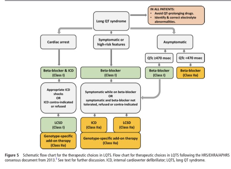 cardiopedhnn's tweet image. Dx, manejo y Rx del síndrome de #QTlargo congénito. Libre acceso. 

Dx, management &amp;amp; Tx of congenital  #longQT syndrome. Open access. 

dx.doi.org/10.1136/heartj…

#cardiopedia #pedscard #disritmia #arritmia #arrhythmia