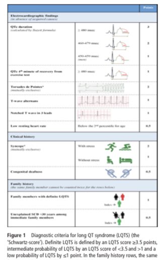 cardiopedhnn's tweet image. Dx, manejo y Rx del síndrome de #QTlargo congénito. Libre acceso. 

Dx, management &amp;amp; Tx of congenital  #longQT syndrome. Open access. 

dx.doi.org/10.1136/heartj…

#cardiopedia #pedscard #disritmia #arritmia #arrhythmia