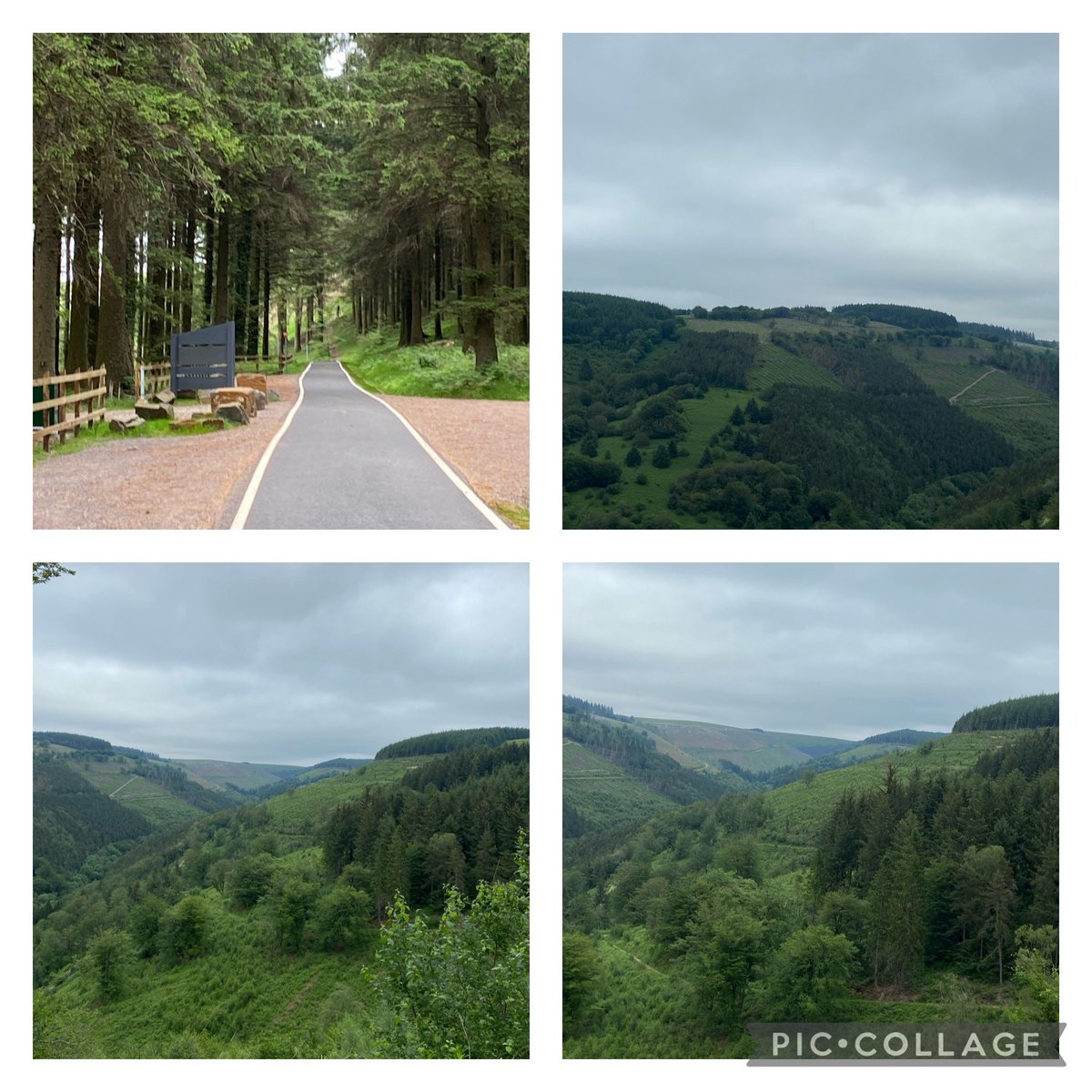 MendingMindsBA's tweet photo. Been very busy the last few weekends so at last managed to visit Cwmcarn one of my favourite places. Lots of new things to see since my last visit 😊don’t think Gus 🐶 was as pleased 🙄@bawelps @bawelclass3 #familyfun #cwmcarnforest https://t.co/XTRhbCDPg6
