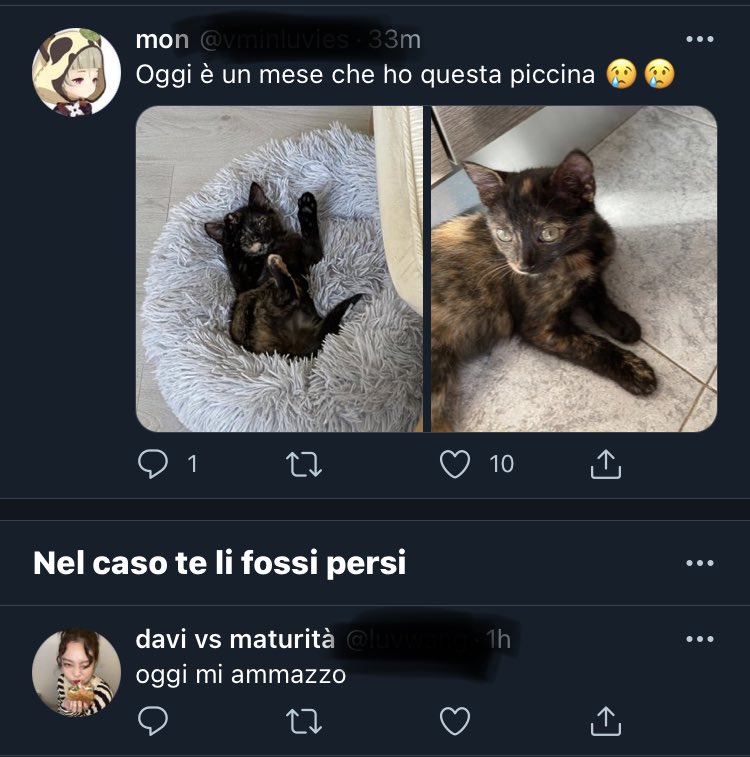 tiwysfwd's tweet image. 