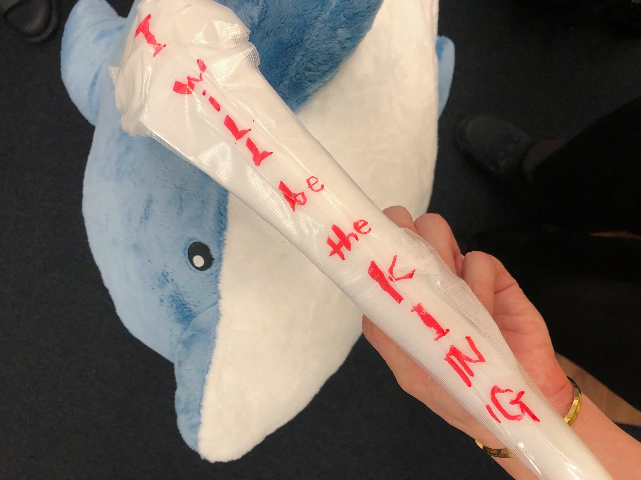 宮崎 湧 On Twitter 皆 ごめん さめは獲れなかったよ れおくんの慈悲で 夏組皆に一匹ずつ サメの配給があったのですが 俺のはイルカでした 男のロマンをくすぐる サメ じゃなきゃダメだったんだ この悔しさ 忘れない 御来場くださった皆さま 配信を観て