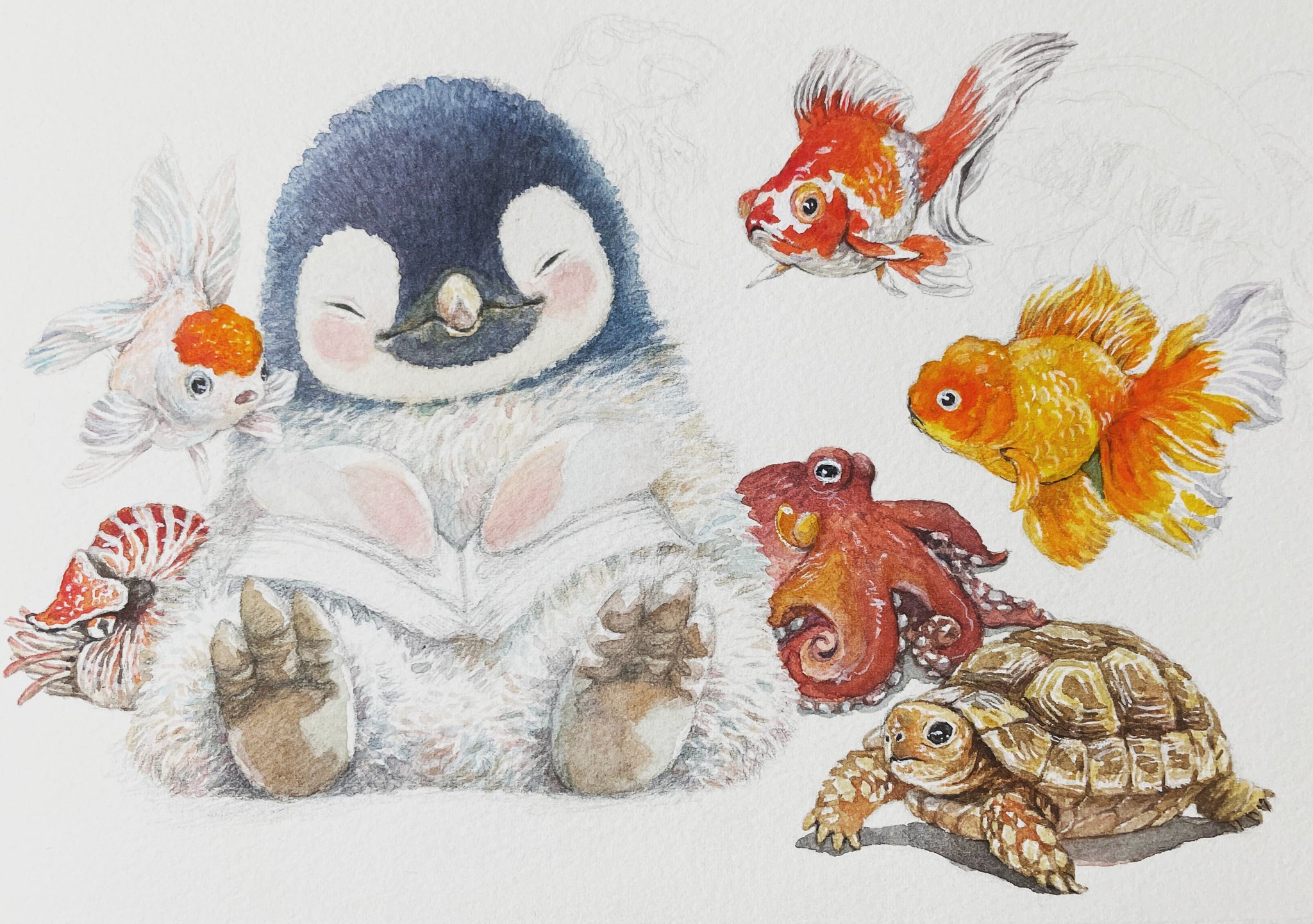 貝　オウム貝　3つ オウムガイ オウム貝 貝殻2つセット - メルカリ