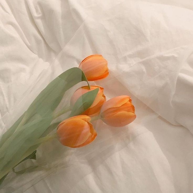 skylewritez's tweet image. Lacuna | jaesahi au 

— Aaron (asahi) likes being alone, living an introverted life because he mostly feel empty, unlike his friends who have found their missing pieces. Then fate planned to give him his missing piece, Jairo (jae) a complete stranger.