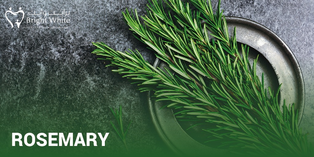 BrightWhiteae's tweet photo. Rosemary promotes good oral health because it contains calcium. Calcium is an essential mineral for your smile, as it strengthens enamel, helps prevent tooth decay and can even repair places where acids have damaged teeth.
#brightwhiteae #dental https://t.co/RS06ZgpaIU
