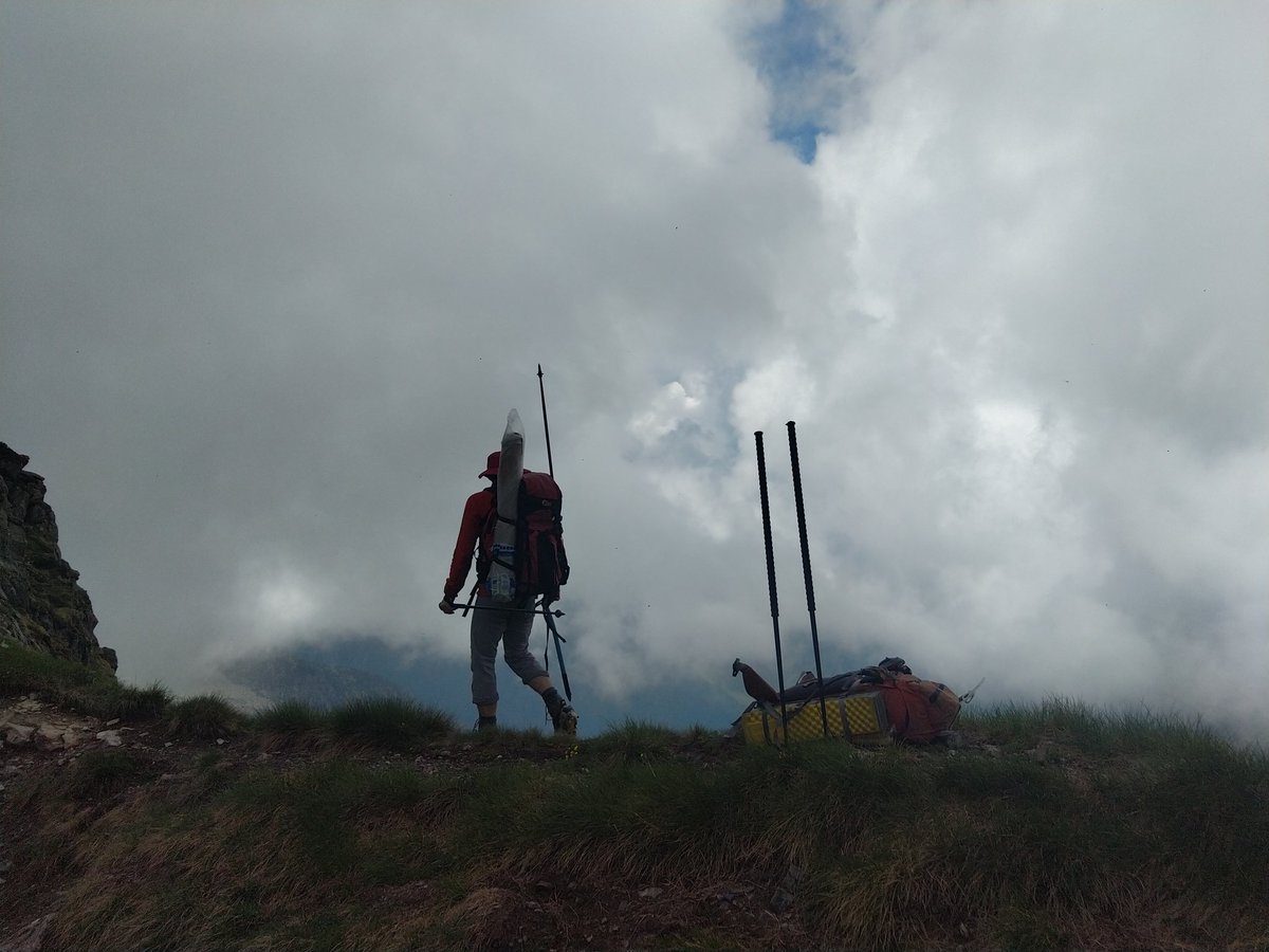 Parc naturel Pyrénées Ariégeoises tweet media