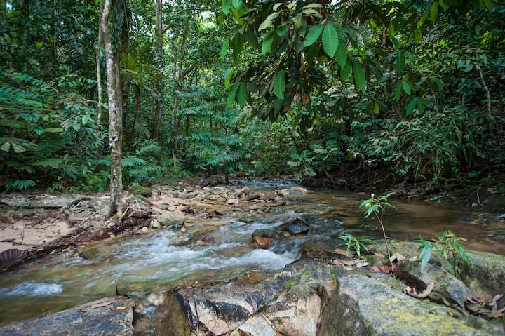 travetopia's tweet photo. Sangat menarik bila anda pergi camping hanya anda dan kawan kawan anda je yang ada di situ. 

Selaru Loft House terletak di Serendah, Selangor. Rumah berkonsepkan pondok moden yang terbuka sesuai pada yang gemarkan sedikit adventure dalam percutian. https://t.co/FBgrqwBhHp