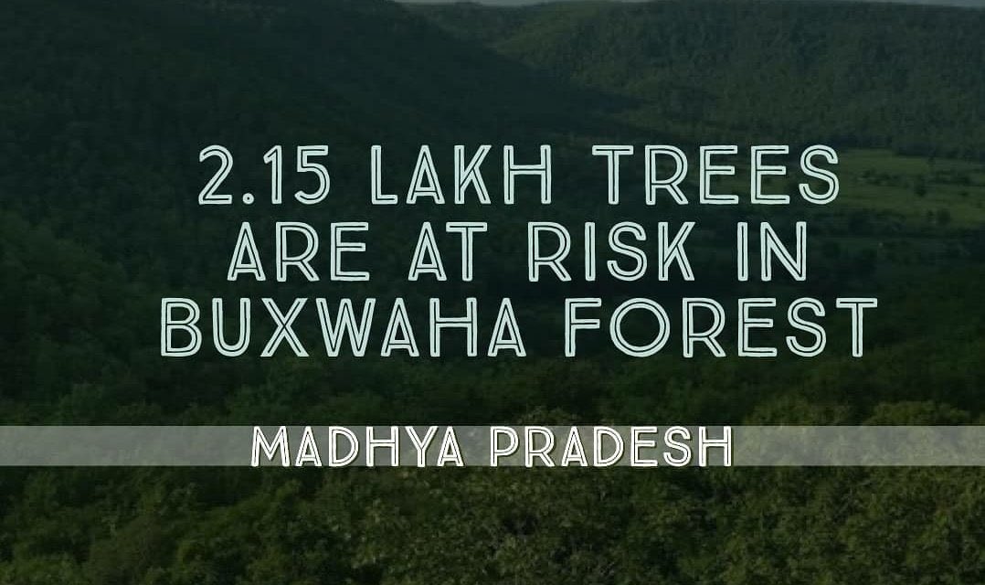 GSidhupur's tweet photo. #savetrees #SaveBuxwahaForest #SaveBuxwahaSaveLife #saveouroxygen https://t.co/OeC260Z5Mg