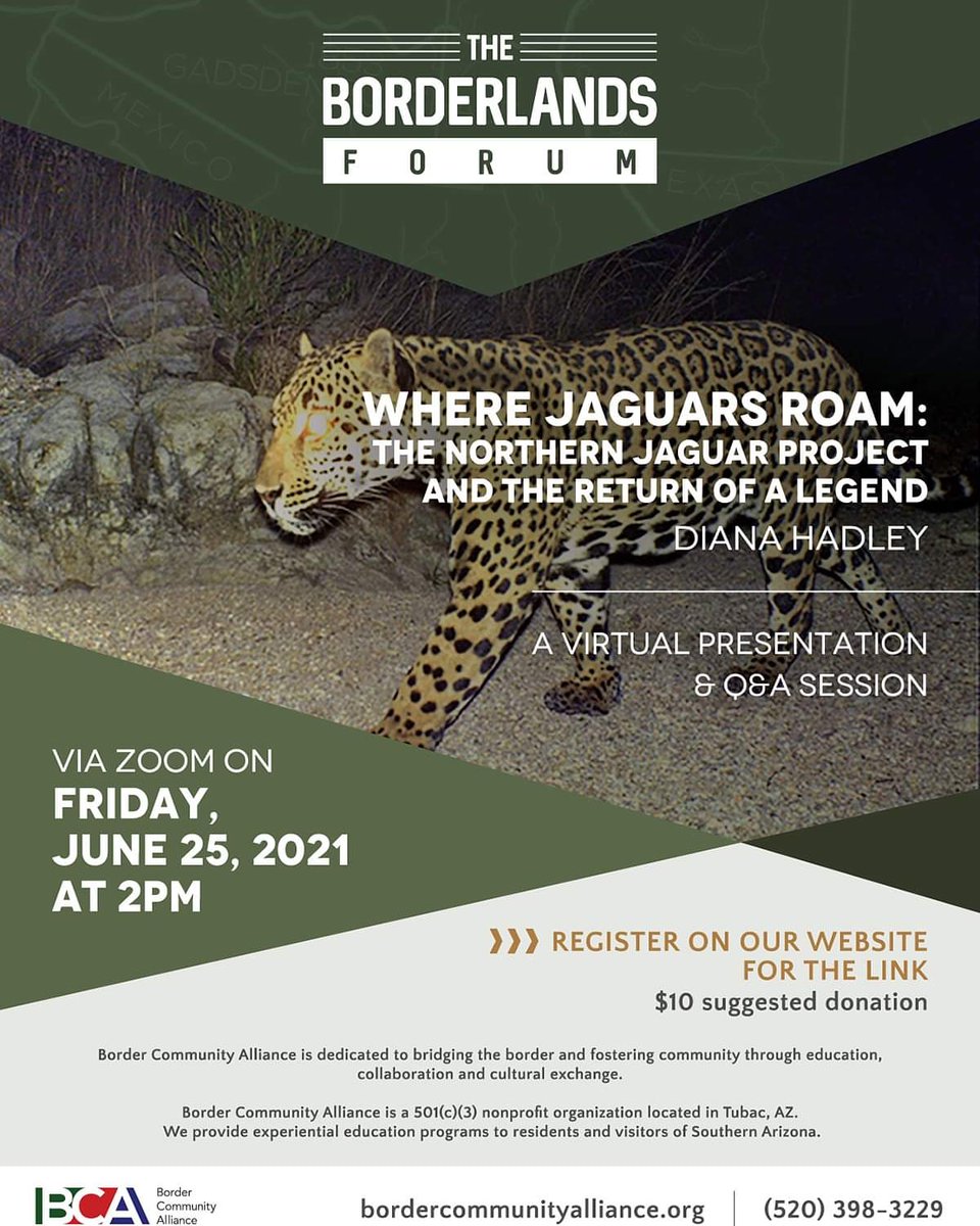 2pm Friday, June 25 via Zoom. Save your place, register here: bca.z2systems.com/eventReg.jsp?e… #Nonprofit #BCA #Education #CulturalExchange #Tubac #Tucson #Phoenix #Arizona #Nogales #Hermosillo #Sonora #Mexico #Border #Borderlands #Jaguar #Jaguars #NJP #NorthernJaguarProject