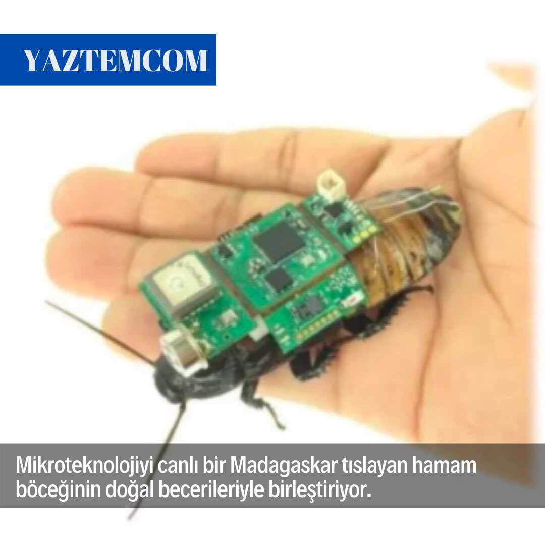 Afet sonrası arama-kurtarma için ilginç sistem!
shiftdelete.net/afet-sonrasi-a…
