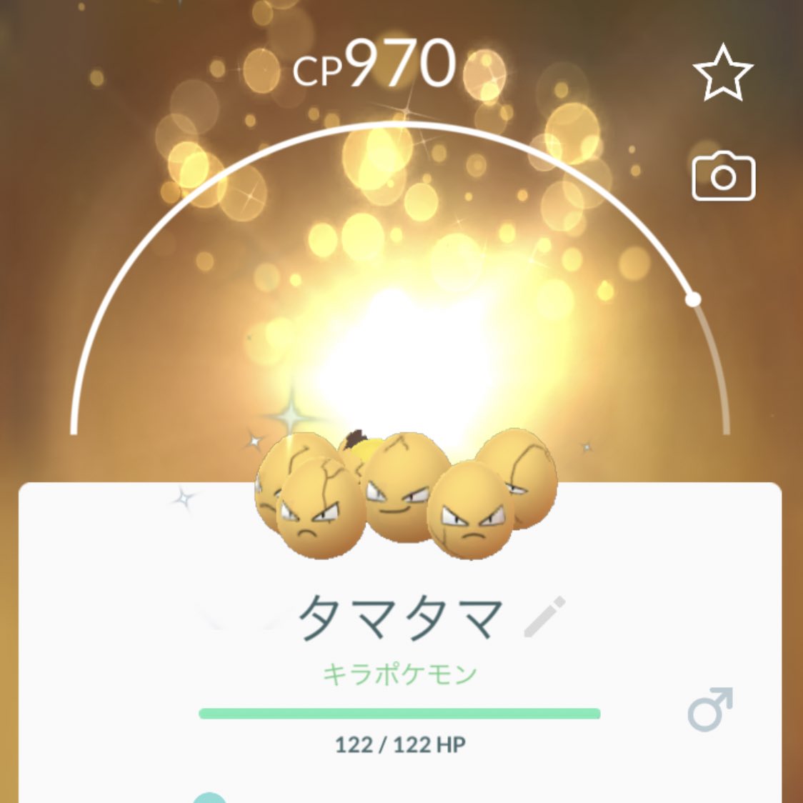 ポケモンgo タマタマの色違い 入手方法と実装状況 攻略大百科