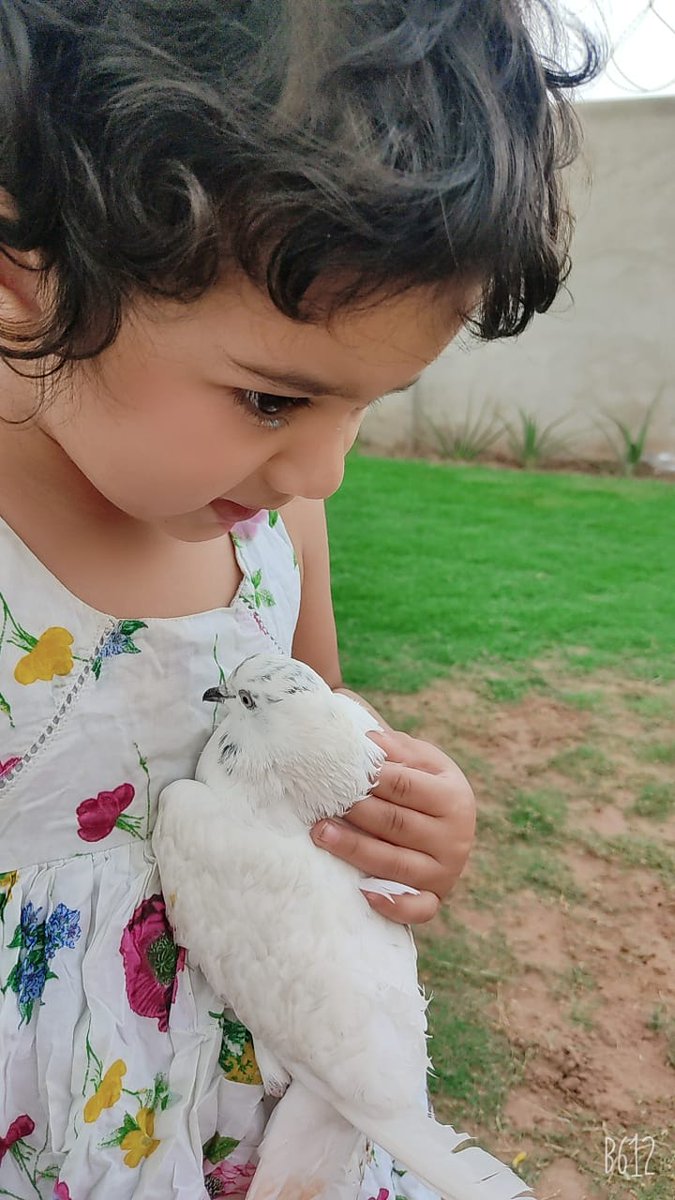 @Mir Raheem 🌱 عبدل رحیم میر tweet media