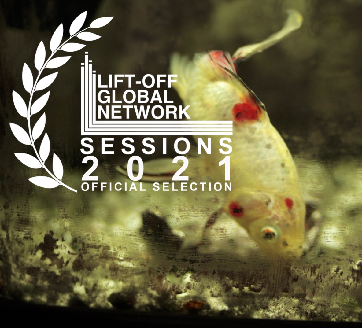 Monkhead Film & Theatre (@wearemonkhead) on Twitter photo DON'T FORGET TO VOTE! Today is the penultimate day of <a href="/liftoffnetwork/">Lift-Off Global Network</a> SESSIONS 2021 and we are just 3 VOTES from placing in the top 5 and being eligible to screen at <a href="/PinewoodStudios/">Pinewood Studios</a>! Got $12 and 12 minutes to spare? Watch The Start of Nothing, here: bit.ly/3pRhqjY DON'T FORGET TO VOTE! Today is the penultimate day of <a href="/liftoffnetwork/">Lift-Off Global Network</a> SESSIONS 2021 and we are just 3 VOTES from placing in the top 5 and being eligible to screen at <a href="/PinewoodStudios/">Pinewood Studios</a>! Got $12 and 12 minutes to spare? Watch The Start of Nothing, here: bit.ly/3pRhqjY