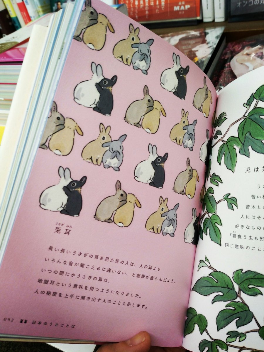書楽 阿佐ヶ谷店 Syo Gaku Twitter 書楽 阿佐ヶ谷店 Syo Gaku Twitter