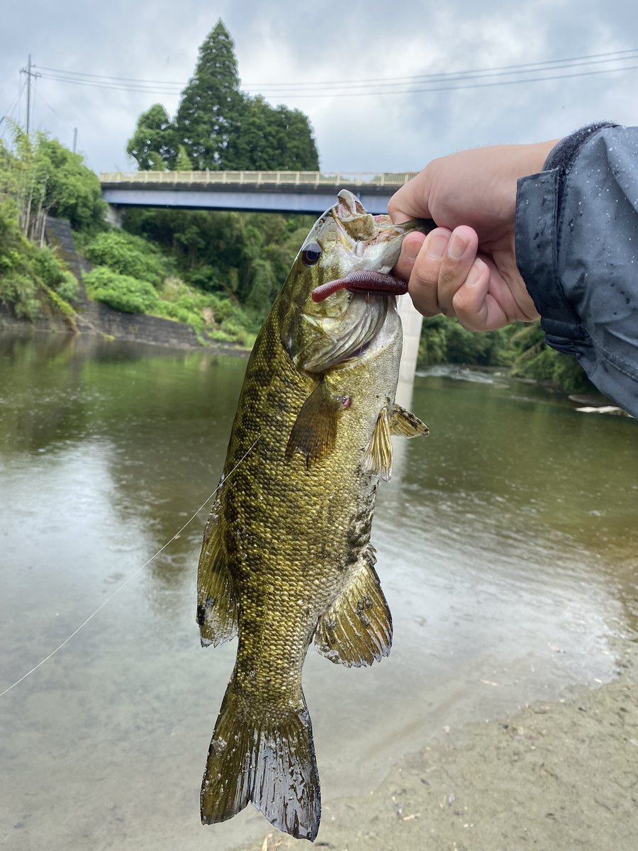 高滝湖バス釣り