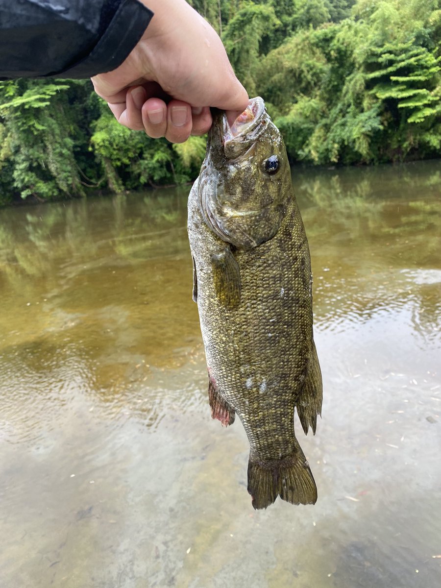 高滝湖バス釣り