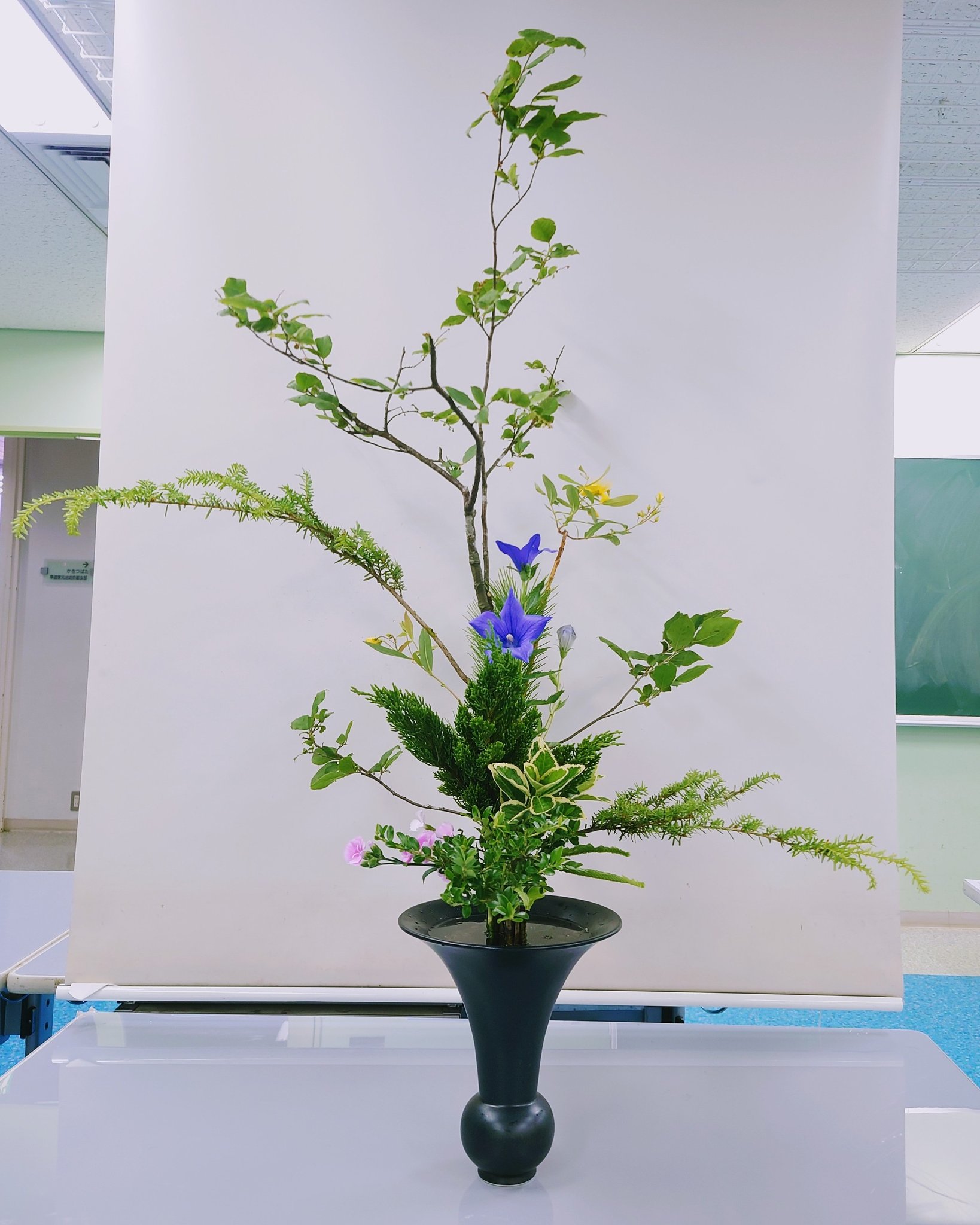 Twitter 上的 花緑 Karoku 中研1日目 除真の立花 木草挿交 アタマでは理解しているつもりが いざ生け始めるとなかなか上手くいかない いつか サラッと立てれるようになりたいなぁ 池坊 いけばな 立花正風体 花のある暮らし ナツハゼ キキョウ Twitter 上的 花緑 Karoku 中研1日目 除真の立花 木草挿交 アタマでは理解しているつもりが いざ生け始めるとなかなか上手くいかない いつか サラッと立てれるようになりたいなぁ 池坊 いけばな 立花正風体 花のある暮らし ナツハゼ キキョウ