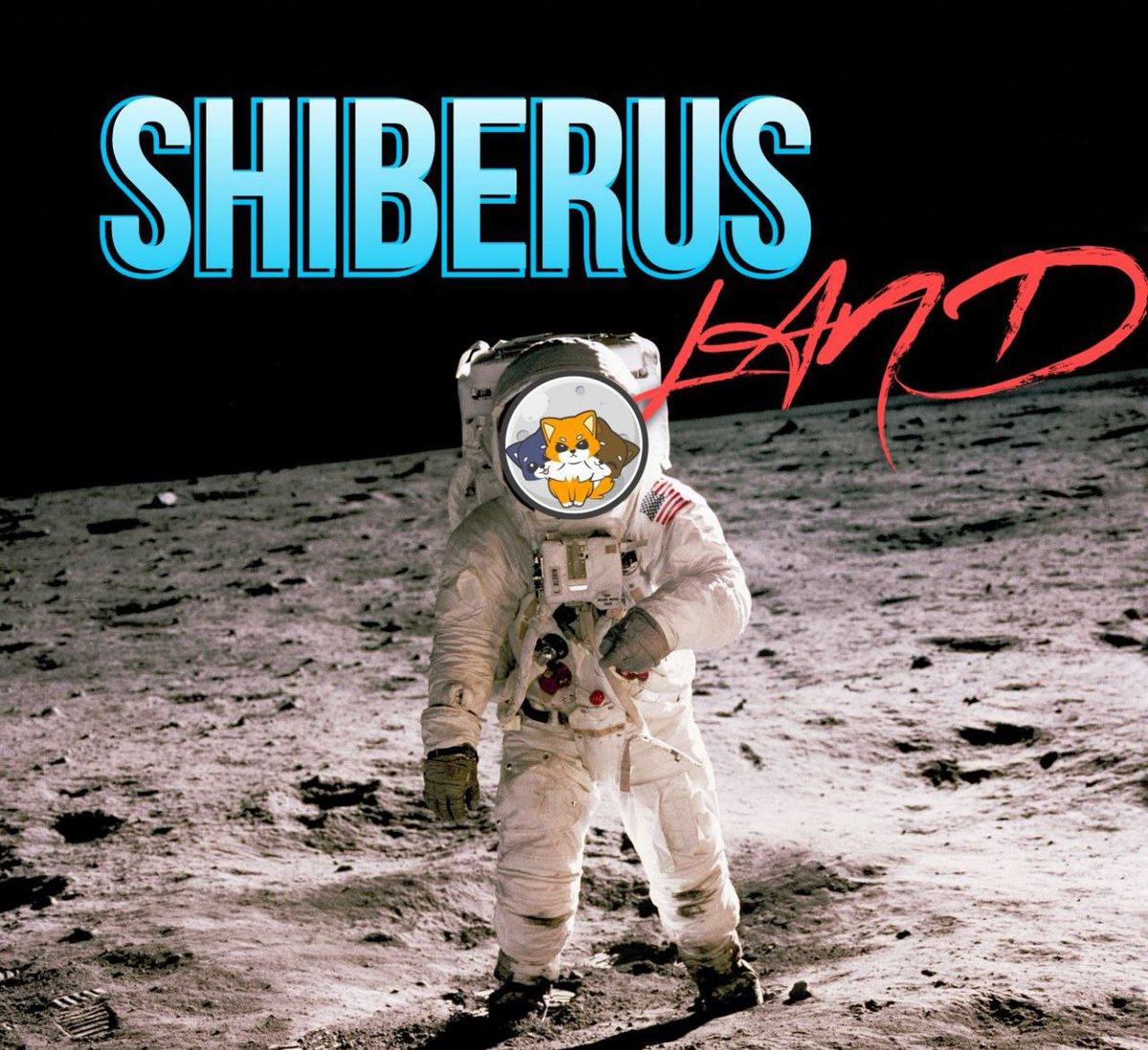 FabuluxeCrypto's tweet photo. @Ralvero #SHIBERUS 🚀🚀 https://t.co/uc1qkRWNLH