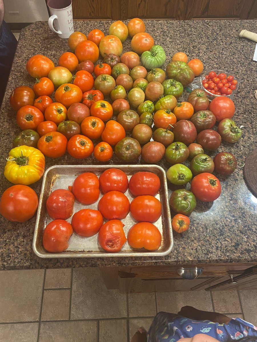 quaddad16's tweet photo. First sauce day of 2021 @jimcramer https://t.co/KNrgNxMk2z