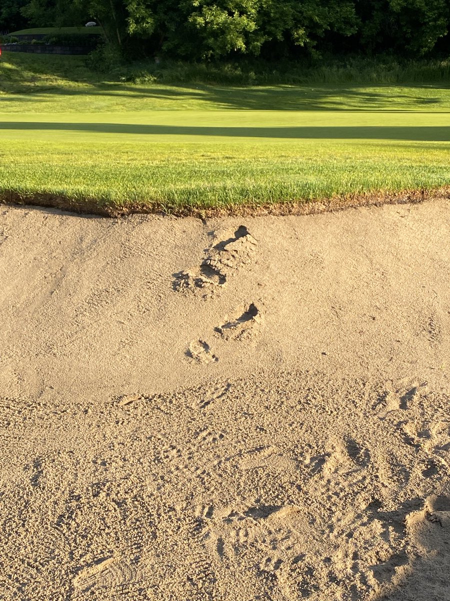 Please don’t enter and exit the bunkers in areas where the slopes are steep and use your feet to smooth out foot tracks.