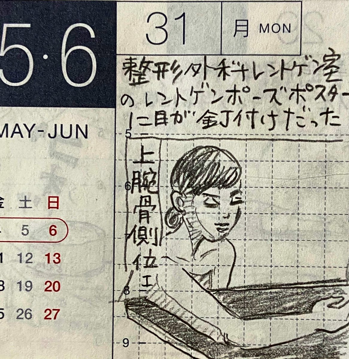 5月最終日・6月第一週の一コマ絵日記 1/2
整形外科受診、湿布がよく効く、フォロワーさんが急増して怖い、理由がわかり問い合わせなど。 