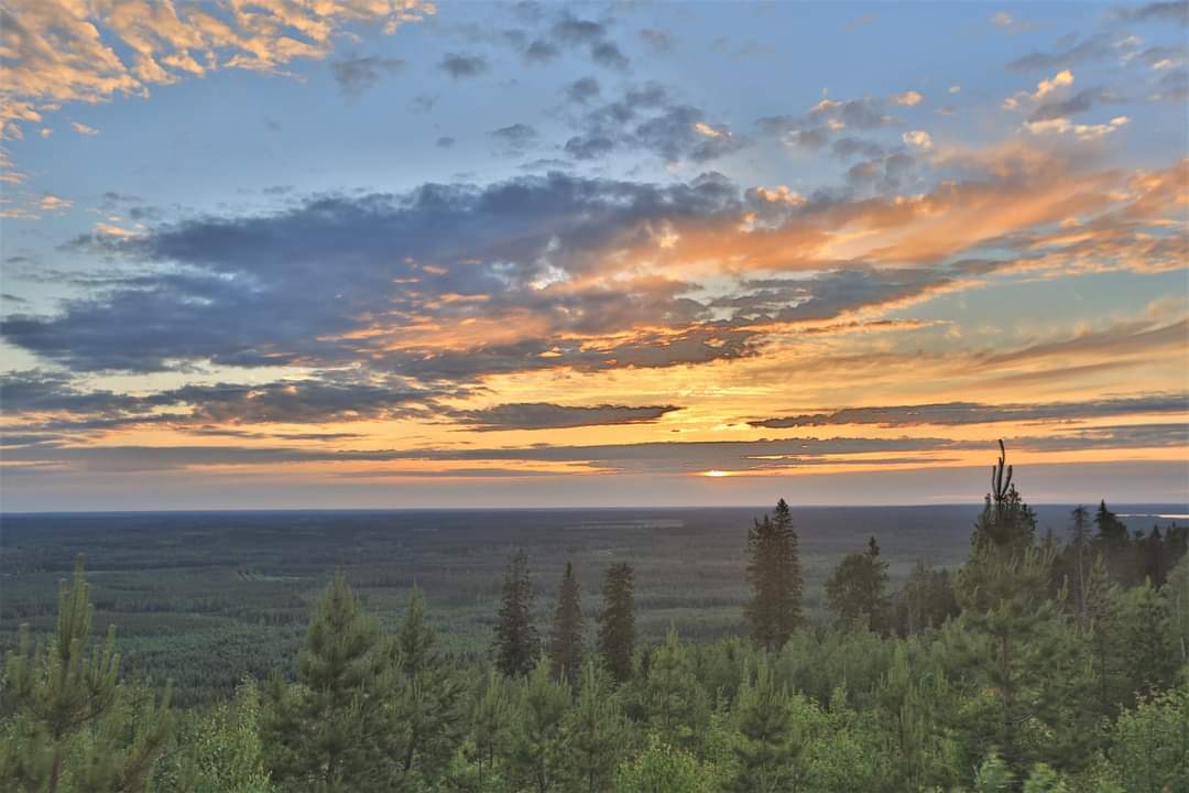 PHatunen's tweet image. Hyvää yötä 😴 Good night.