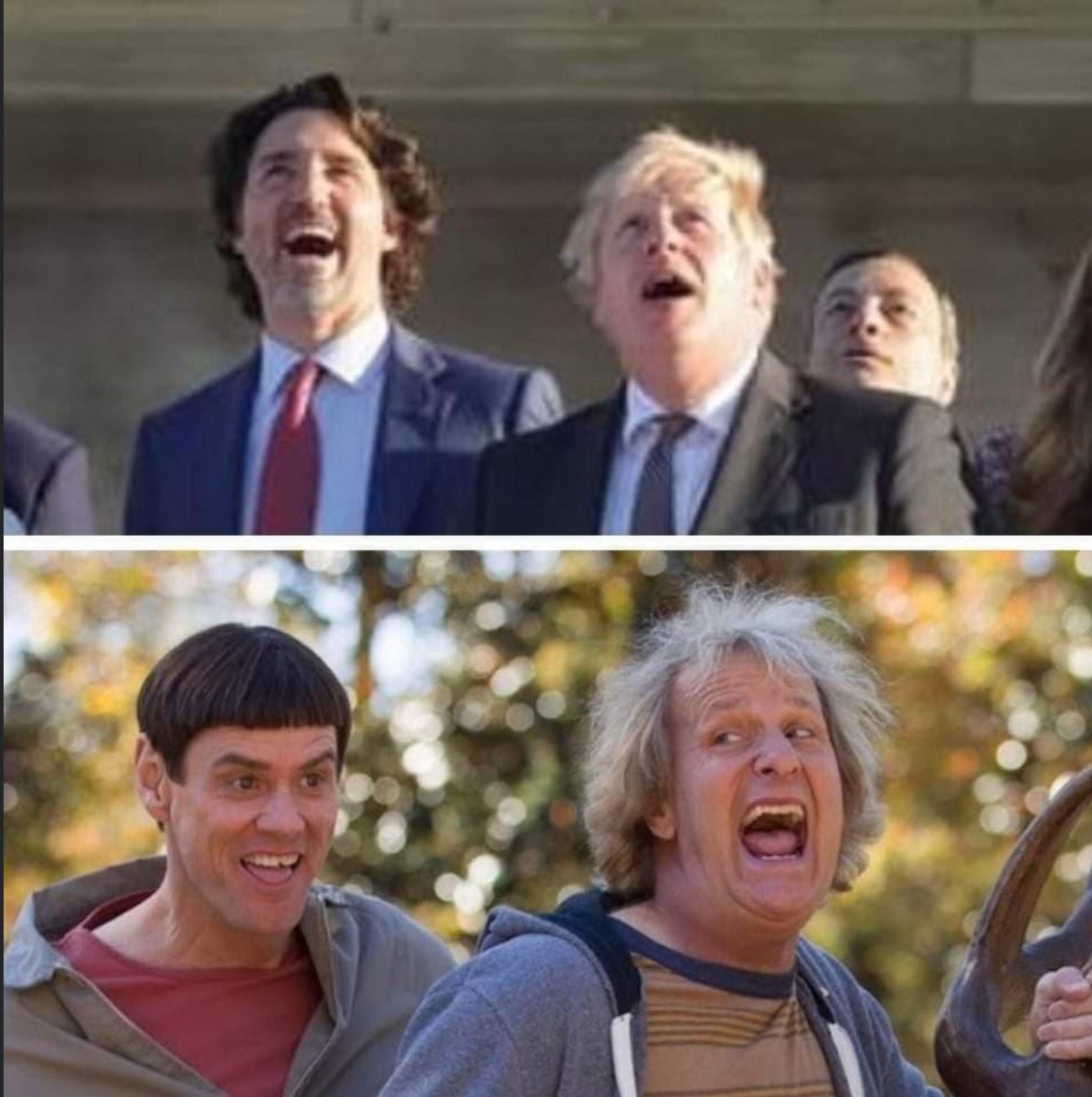 Worth a thousand words 👇