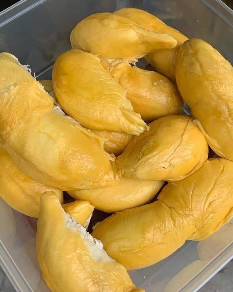 Sofiaa96_'s tweet photo. Craving durian 💛💛💛 https://t.co/LUbZWEEu7V