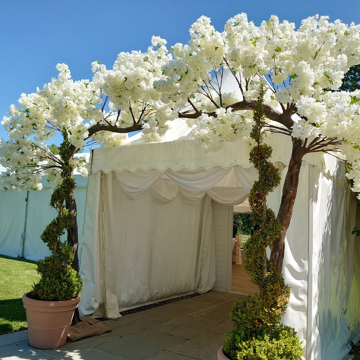 Our #blossomtreearch a stunning marquee entrance  @thatamazingplace 
#thatamazingplace #wedding #weddingbackdrop #weddings #weddingopenday #weddingstyling #weddingflowerideas #weddingdaylove #weddingplanning #weddingdetails #weddinginspo #weddingtrees #blossomtrees #weddingsetup