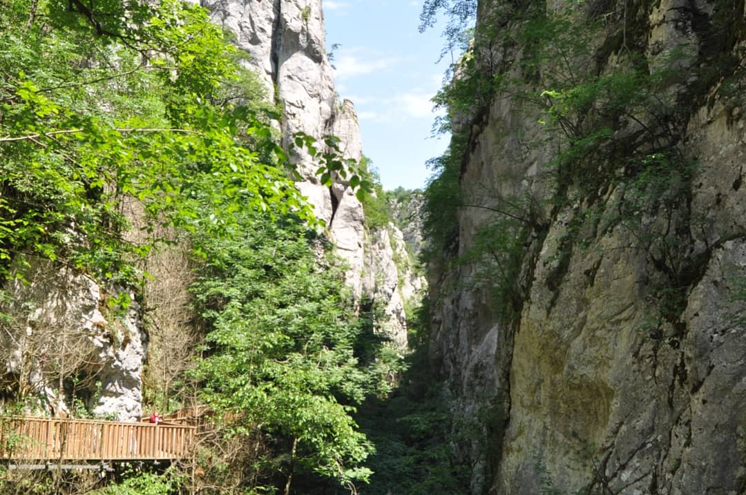 4_kultur's tweet photo. Projemizin Pınarbaşı Kanyonlar bölgesi etkinliğinden kareler 🏞
@gencliksporbak @gsb_kastamonugm 
@kastamonuvalilk 
@kasapoglu https://t.co/zf6eEwZVgc