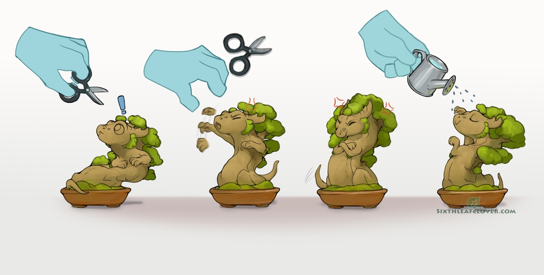 sixthleafclover's tweet photo. How to take care of your Bonsai Dragon 🌳🐉 https://t.co/v2fdesBaqf