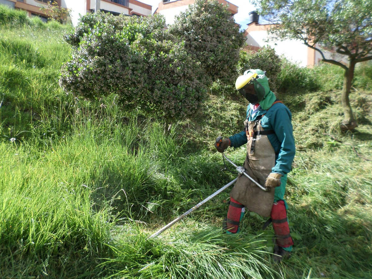 Red Vital Paipa tweet media