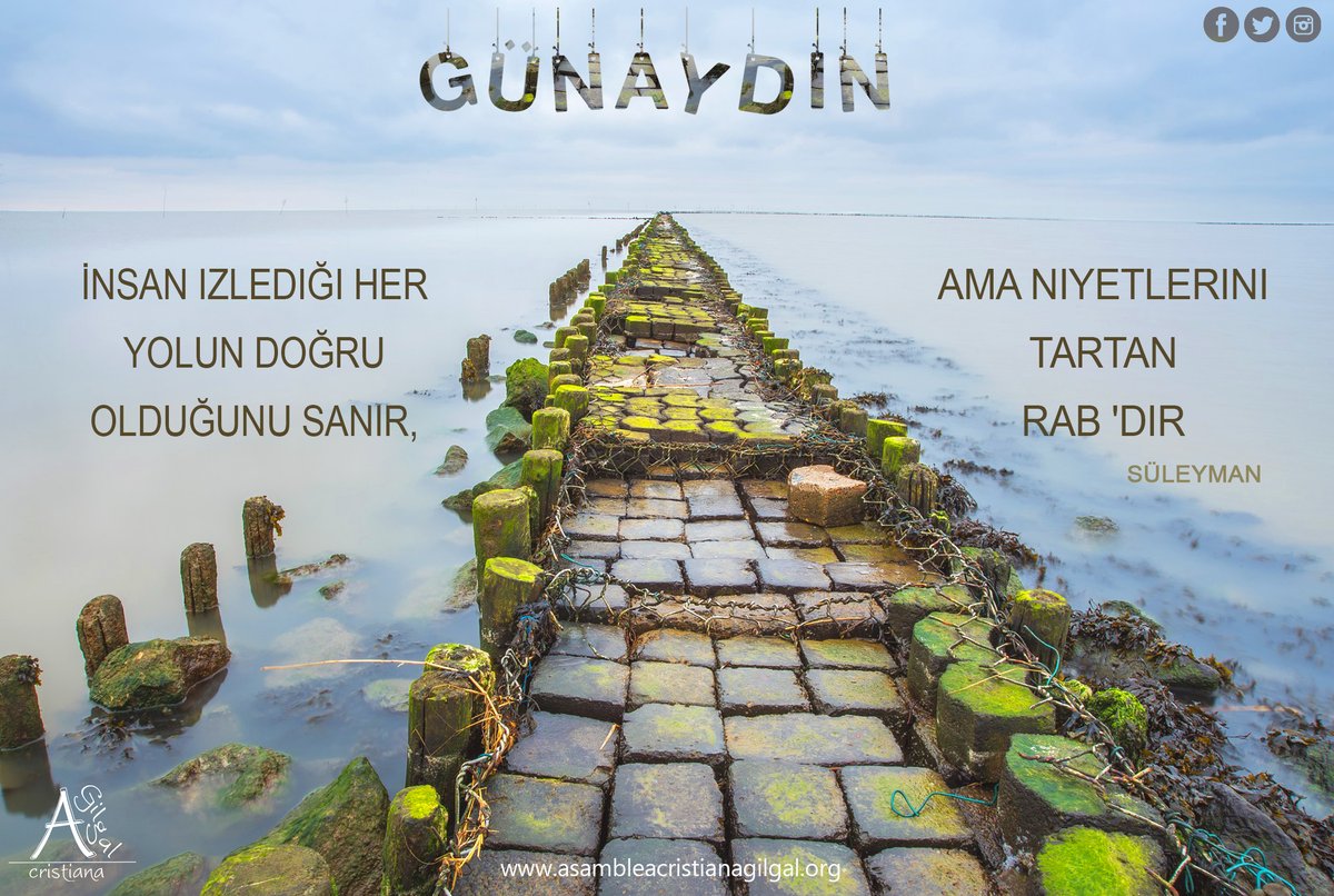 верблюд караван великий шелковый путь. хлам в доме. человек толпы. вещи в куче. много людей в очереди.