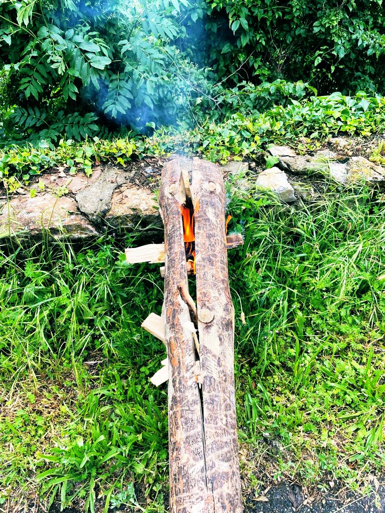 🎗 Associació cultural de fallaires de Sort tweet media