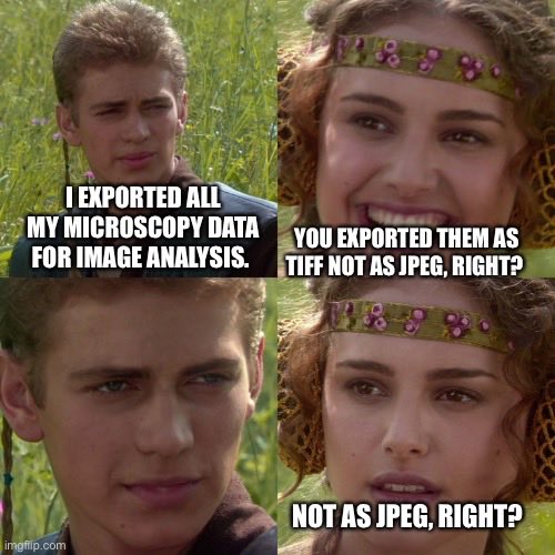 Image analysis 101: lesson 1 #microscopy #imageanalysis