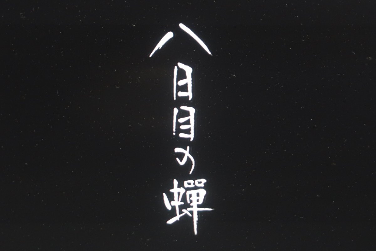 Colette Colette Twitter