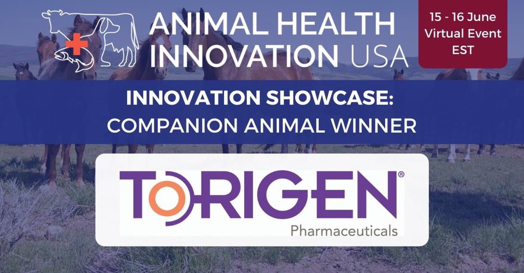oncodvm's tweet image. Torigen was named the winner of the 2021 Animal Health Innovation Showcase highlighting the top startup companies in the industry!