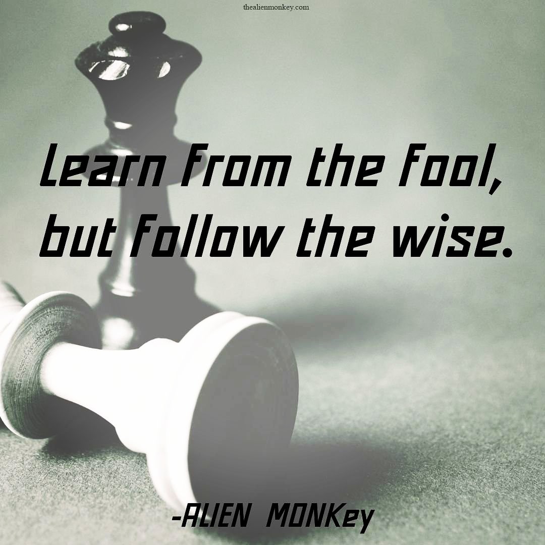 TheALIENMONKey1's tweet image. Alien MONKey [4:53]
#wiserbyday #studypattern #meditation #geniuswithin #gutfollower #dettachment  #innercalling #willowisp #soultraveller✨ #manifestation #mindfulness🛸 #journeywithin #spiritualseeker #forgiveyourself #shedfear #emitlight  #motivationalquotes #posotivityquotes