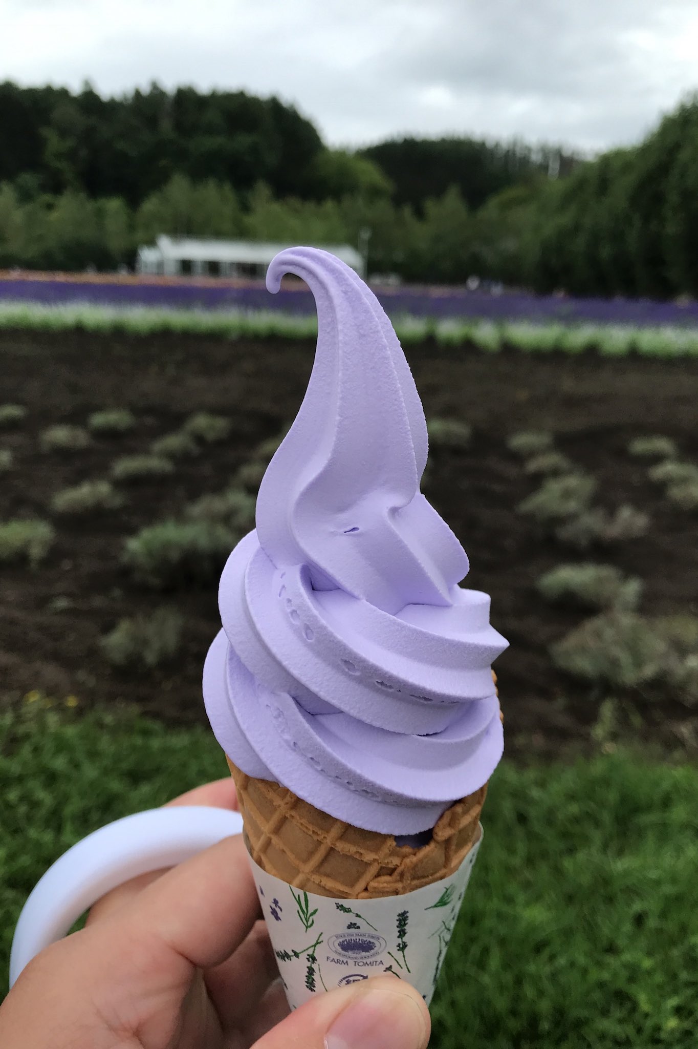 تويتر ルノアール على تويتر 富良野のラベンダー畑で食べるラベンダーソフトクリームは最高です ラベンダー畑 富良野 T Co Zfr2b1eira