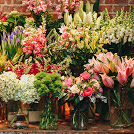 Get to know NYC's Plantshed Foral Cafe thru this ink:

einujackie.com/2021/06/have-l…

#nycFlorist
#Plantshed