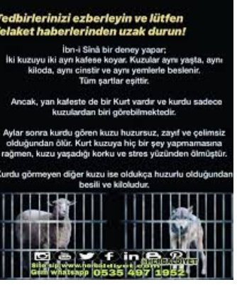 <a href="/denizdebiyildiz/">Yıldız</a> <a href="/Roserain1903/">Rose</a> Şuan içinde bulunduğumuz  hayat ile 
Birebir nasılda örtüşüyor 
Öyle değil mi ? 
#depremistanbul 
#AsıDeğilBiyolojikSilah