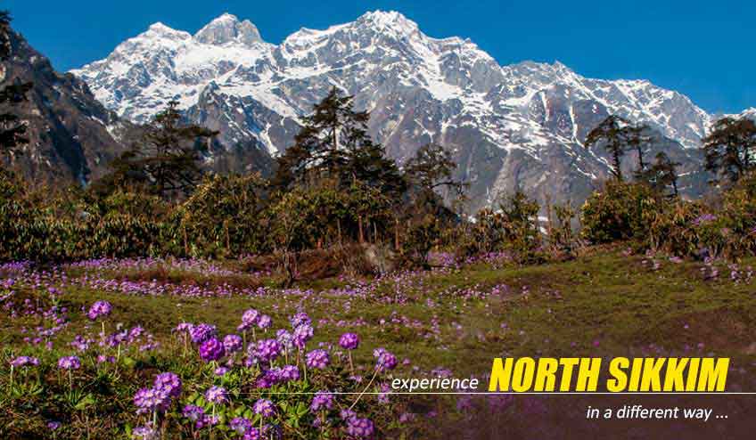 SonaliHalder17's tweet photo. THIS DURGA PUJA PLAN YOUR COMPLETE SIKKIM TOUR 

#Sikkim #Package #Tour #NatureWings 
https://t.co/iYgitFiTgf https://t.co/LSRnOBjqU0