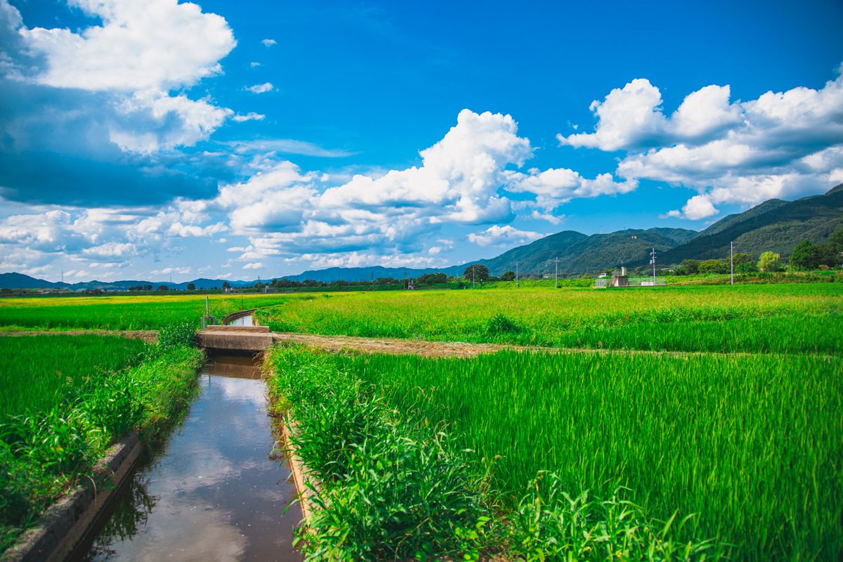 うさだだぬき 青と緑の風景が好き