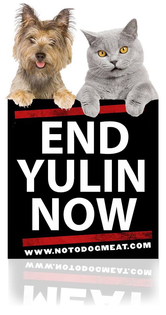 notodogmeat's tweet photo. #IHateDCMTBecause animals deserve love and compassion not torture. #EndYulinForever say #NoToDogMeat #RT @KimRichards11 @people @KyleRichards @KylieJenner @TheStar_news @hellomag 

https://t.co/6KD30QDXbq https://t.co/xtfAz6mlVi