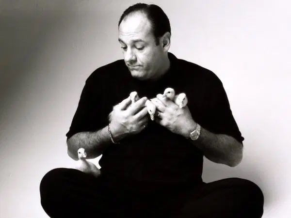 TheSopranosQ's tweet photo. Rest In Peace to the Greatest. #RIPJamesGandolfini https://t.co/Kj9Onxh3OJ