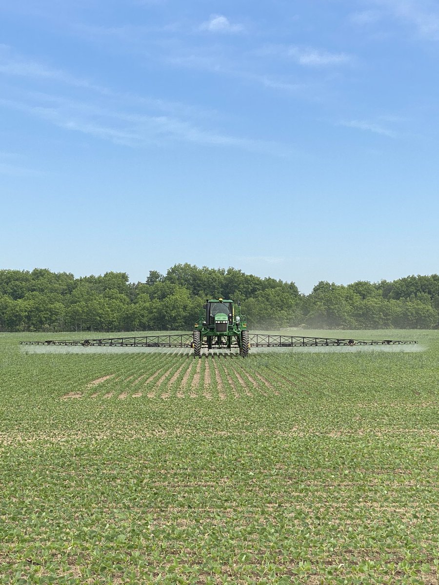 TinkVeri's tweet photo. @MattBeischlag takin care of some weeds on my beans today. #grow2021 #pioneerseeds #raincoming https://t.co/gUPJGPBF6w